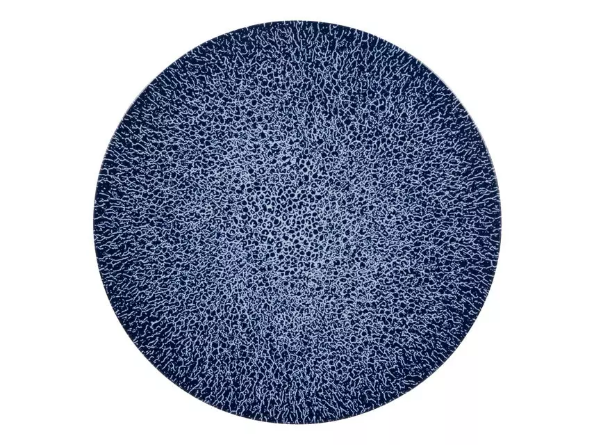 Top 10 🌟 Seltmann Weiden Speiseteller "Life Molecule Denim Blue" in blau 🎉 2 Top 10 🌟 Seltmann Weiden Speiseteller "Life Molecule Denim Blue" in blau 🎉 – Bild 2