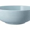 Bestes Angebot 😉 Seltmann Weiden Foodbowl "Beat Arktisblau Uni" 🌟