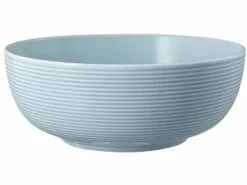 Bestes Angebot 😉 Seltmann Weiden Foodbowl "Beat Arktisblau Uni" 🌟