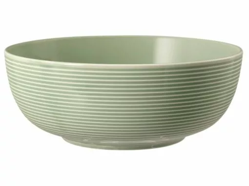 Blitzangebot ❤️ Seltmann Weiden Foodbowl "Beat Salbeigrün Uni" ❤️ -Essen & Trinken Store 6644334 0586788 2 24423155 2