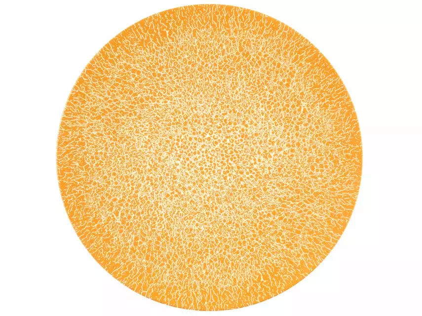 Großhandel 🎁 Seltmann Weiden Speiseteller "Life Molecule Amber Gold" in goldfarben 🌟 1 Großhandel 🎁 Seltmann Weiden Speiseteller "Life Molecule Amber Gold" in goldfarben 🌟