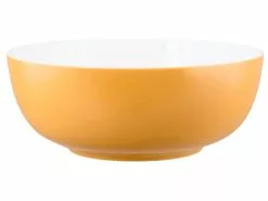 Aktion 🧨 Seltmann Weiden Foodbowl "Life Molecule Amber Gold" in goldfarben 😉