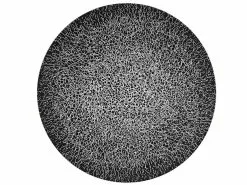 Bester Verkauf ✔️ Seltmann Weiden Speiseteller "Life Molecule Phantom Black" in schwarz 🥰