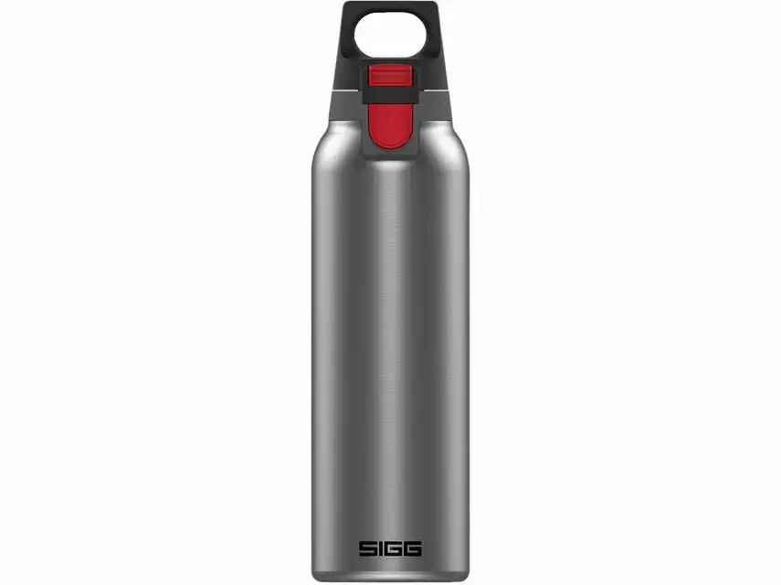Bester Verkauf ⭐ Sigg H&C One Light Brushed 0,55 Liter in grau 😍 1 Bester Verkauf ⭐ Sigg H&C One Light Brushed 0,55 Liter in grau 😍