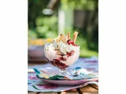 Budget 🧨 Bormioli Rocco Eisschale Alaska in transparent ⌛