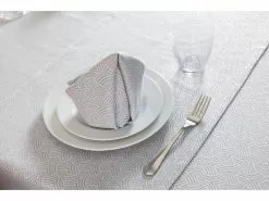 Besorgen 🥰 Decore Stoffserviette Shine - 45x45 cm in silberfarben 🛒 -Essen & Trinken Store 6935710 0649565 5 24900640